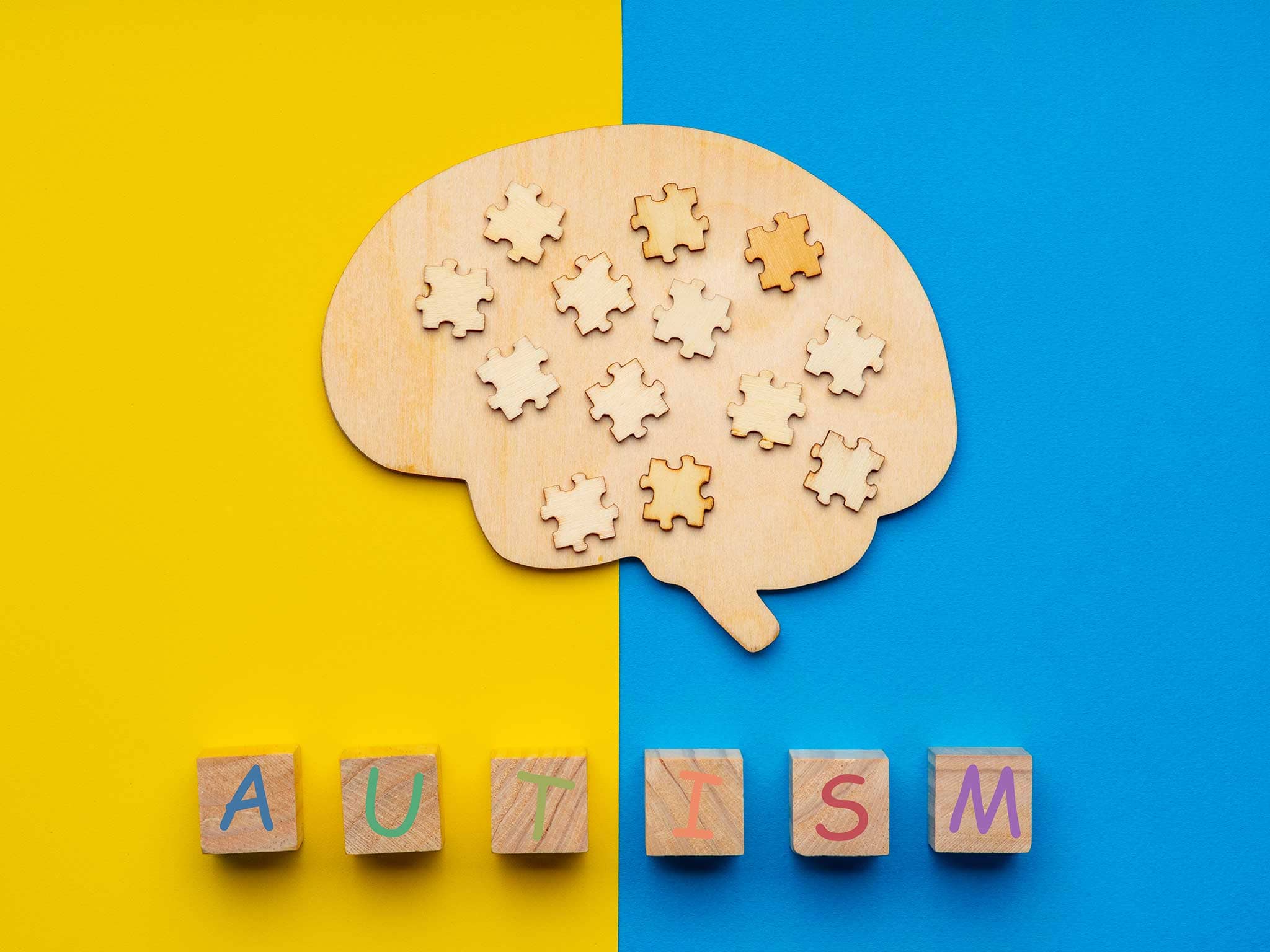 Dr Shalini Chugh Homeopathic Remedies For Autism
