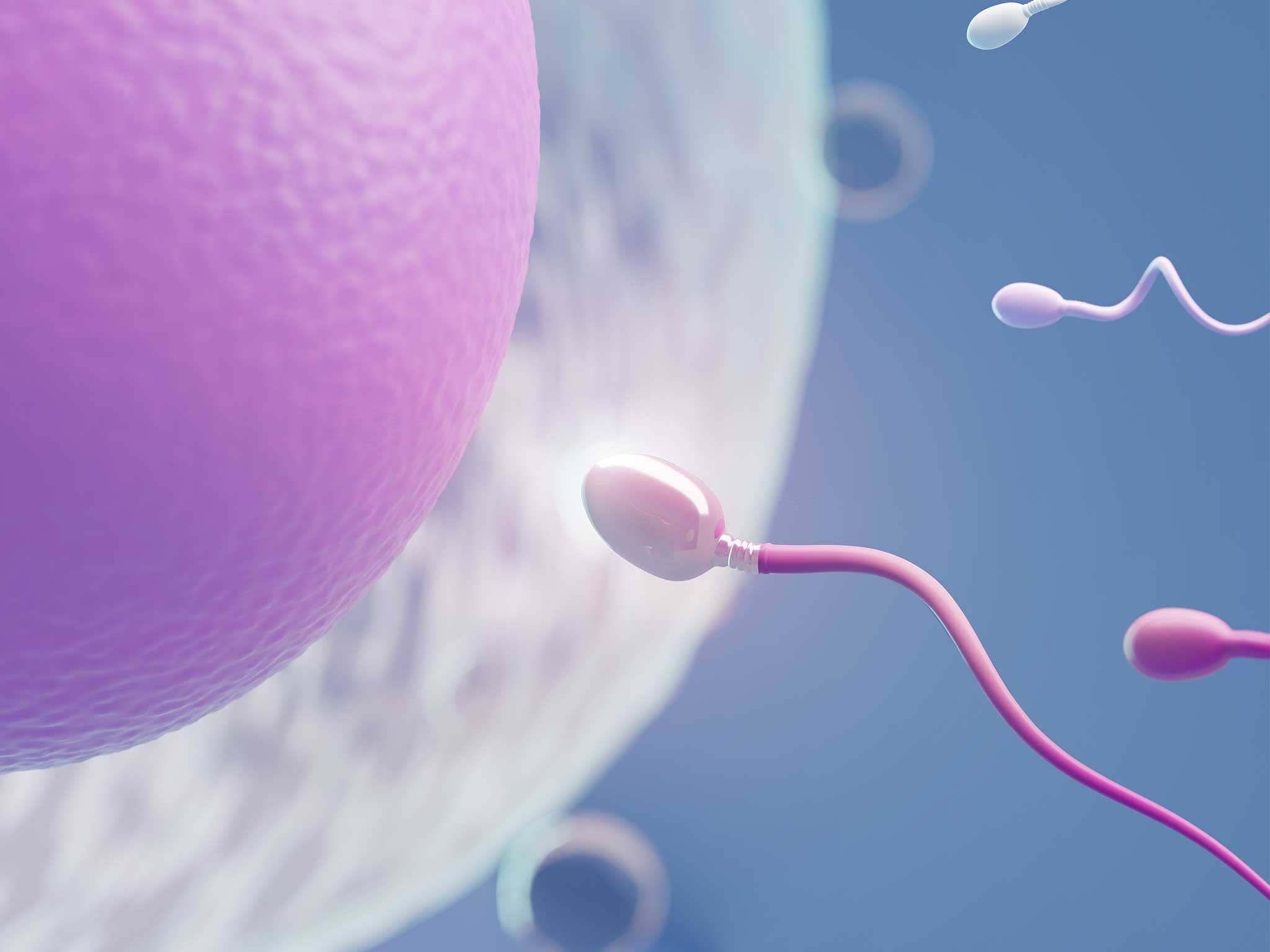 Natural treatment for Infertility